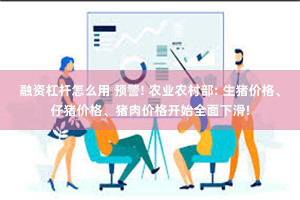 融资杠杆怎么用 预警! 农业农村部: 生猪价格、仔猪价格、猪肉价格开始全面下滑!