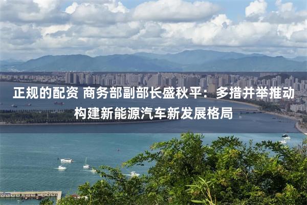 正规的配资 商务部副部长盛秋平：多措并举推动构建新能源汽车新发展格局