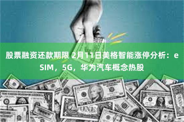 股票融资还款期限 2月11日美格智能涨停分析：eSIM，5G，华为汽车概念热股