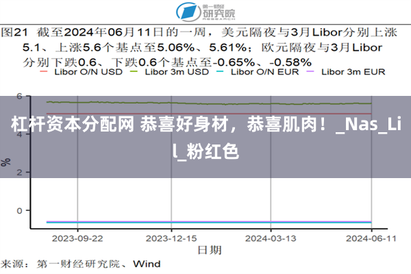 杠杆资本分配网 恭喜好身材，恭喜肌肉！_Nas_Lil_粉红色