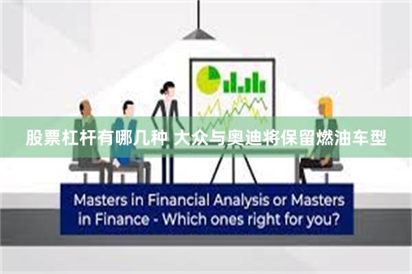 股票杠杆有哪几种 大众与奥迪将保留燃油车型