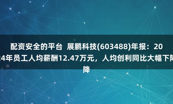配资安全的平台  展鹏科技(603488)年报：2024年员工人均薪酬12.47万元，人均创利同比大幅下降