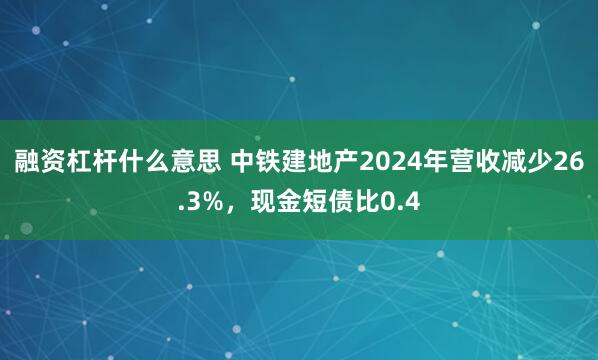 融资杠杆什么意思 中铁建地产2024年营收减少26.3%，现金短债比0.4