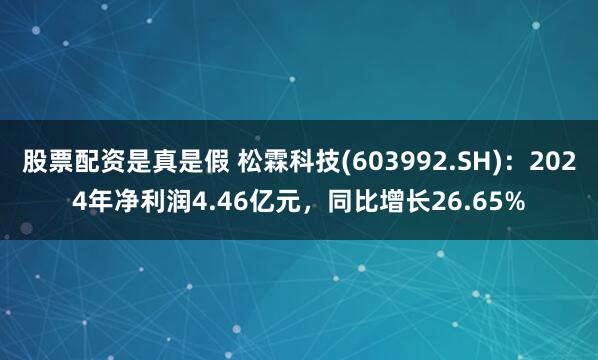 股票配资是真是假 松霖科技(603992.SH)：2024年净利润4.46亿元，同比增长26.65%