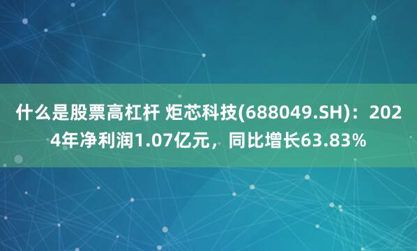 什么是股票高杠杆 炬芯科技(688049.SH)：2024年净利润1.07亿元，同比增长63.83%