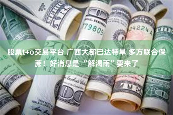 股票t+o交易平台 广西大部已达特旱 多方联合保蔗！好消息是 “解渴雨”要来了