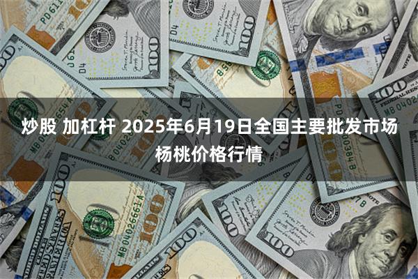 炒股 加杠杆 2025年6月19日全国主要批发市场杨桃价格行情