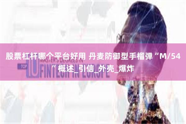 股票杠杆哪个平台好用 丹麦防御型手榴弹“M/54”概述_引信_外壳_爆炸
