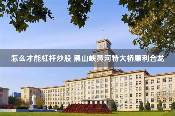 怎么才能杠杆炒股 黑山峡黄河特大桥顺利合龙