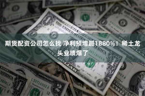 期货配资公司怎么找 净利预增超1880%！稀土龙头业绩爆了