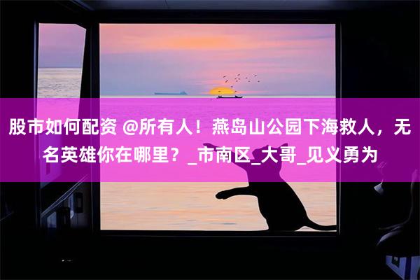 股市如何配资 @所有人！燕岛山公园下海救人，无名英雄你在哪里？_市南区_大哥_见义勇为