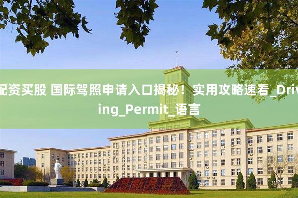 配资买股 国际驾照申请入口揭秘！实用攻略速看_Driving_Permit_语言