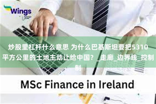 炒股里杠杆什么意思 为什么巴基斯坦要把5310平方公里的土地主动让给中国？_走廊_边界线_控制