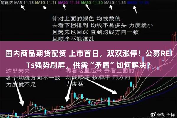 国内商品期货配资 上市首日，双双涨停！公募REITs强势刷屏，供需“矛盾”如何解决？