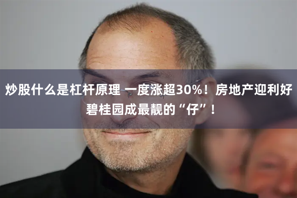 炒股什么是杠杆原理 一度涨超30%！房地产迎利好 碧桂园成最靓的“仔”！