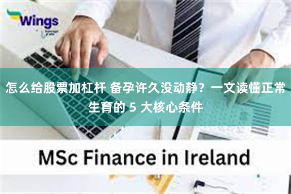 怎么给股票加杠杆 备孕许久没动静？一文读懂正常生育的 5 大核心条件